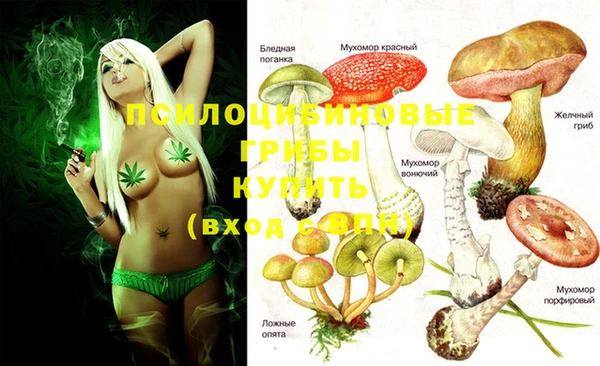 МДПВ Алексеевка