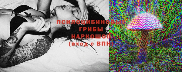 МДПВ Алзамай